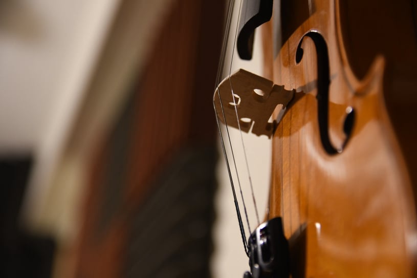 A side-on view of a violin